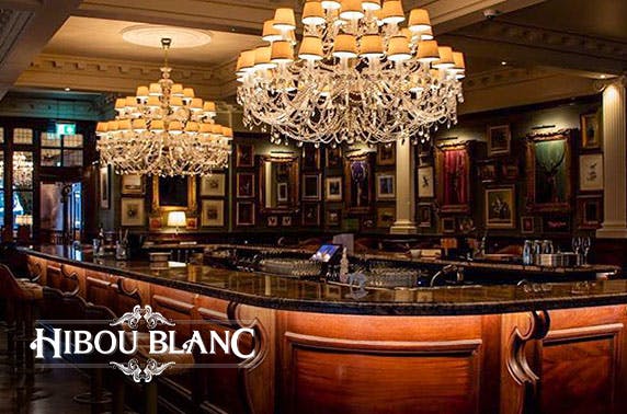 Hibou Blanc