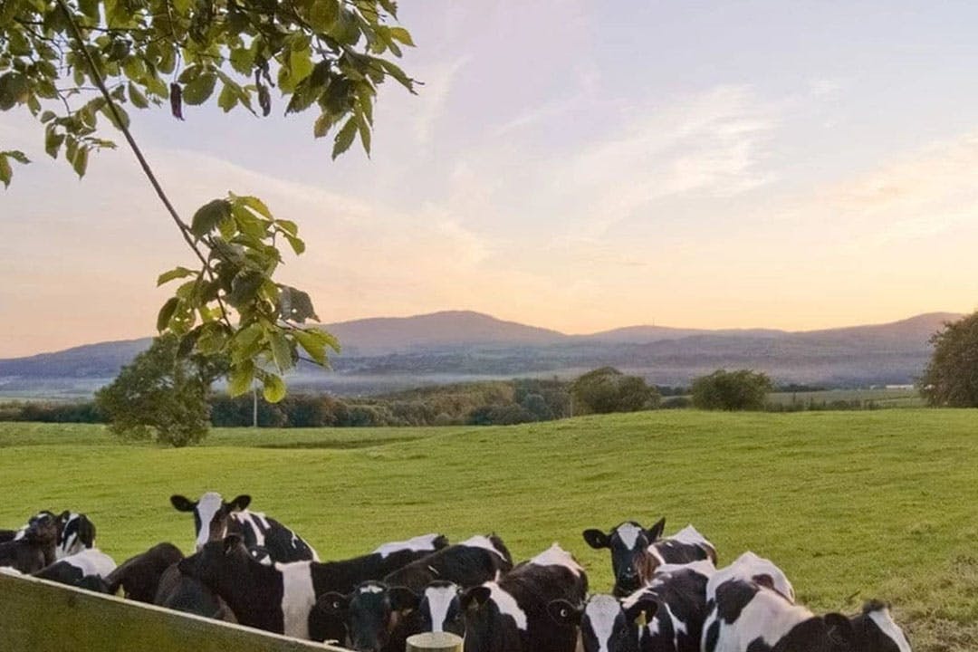 Galloway View Luxury Lodges