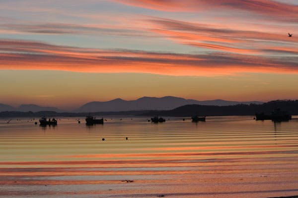 The Airds Hotel & Restaurant