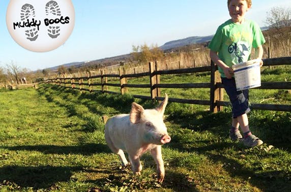 Muddy Boots Farm