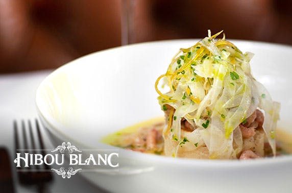 Hibou Blanc