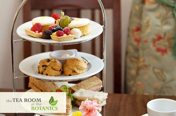 The Tea Room at the Botanics
