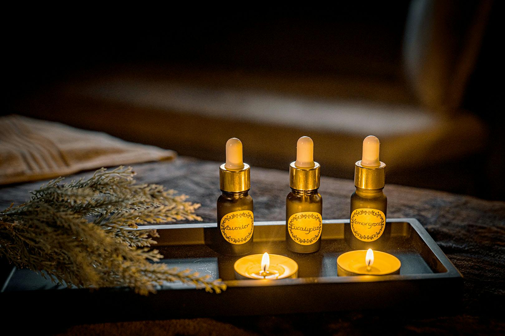 The Alamo Guesthouse