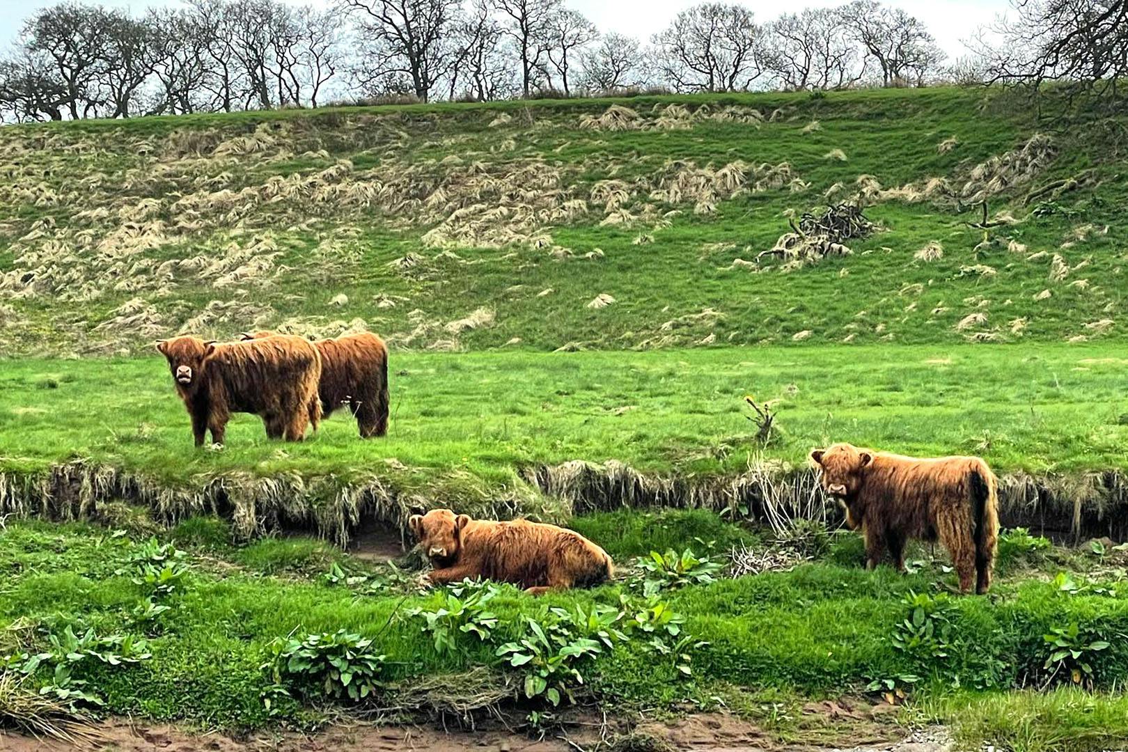 Endrick Escape Luxury Glamping