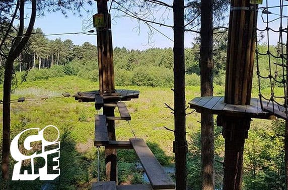 Go Ape Delamere