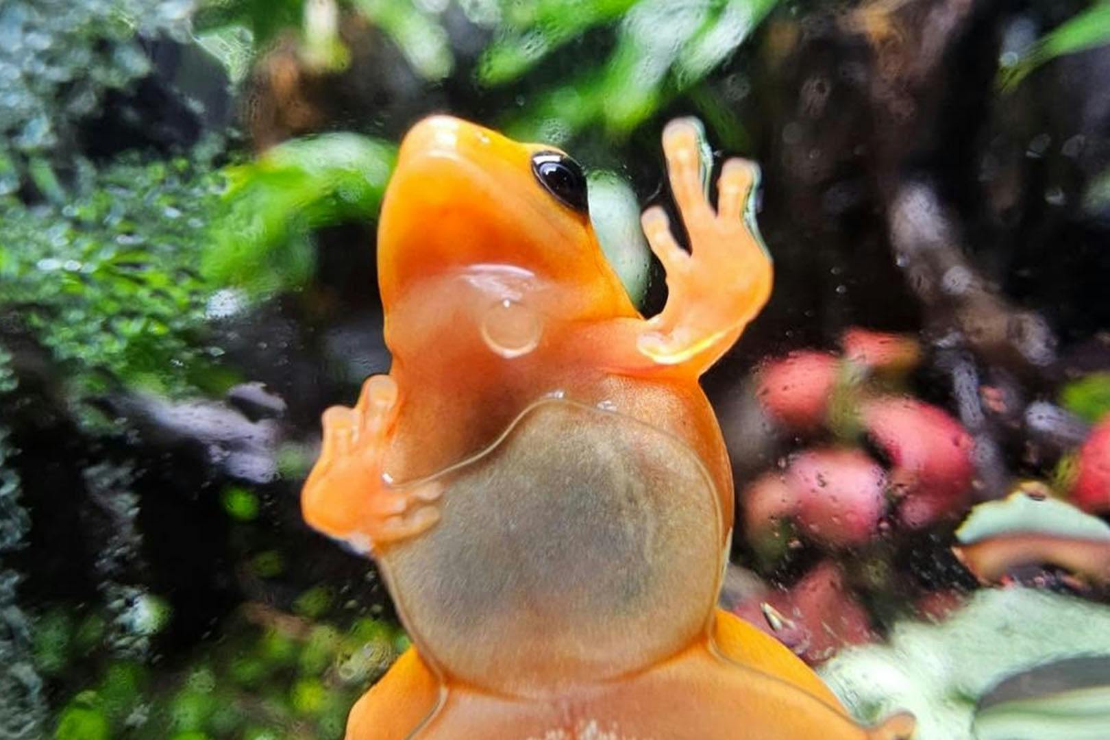 St Andrews Aquarium