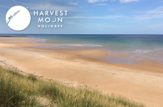 Harvest Moon Holidays