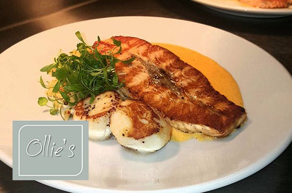 Ollie's