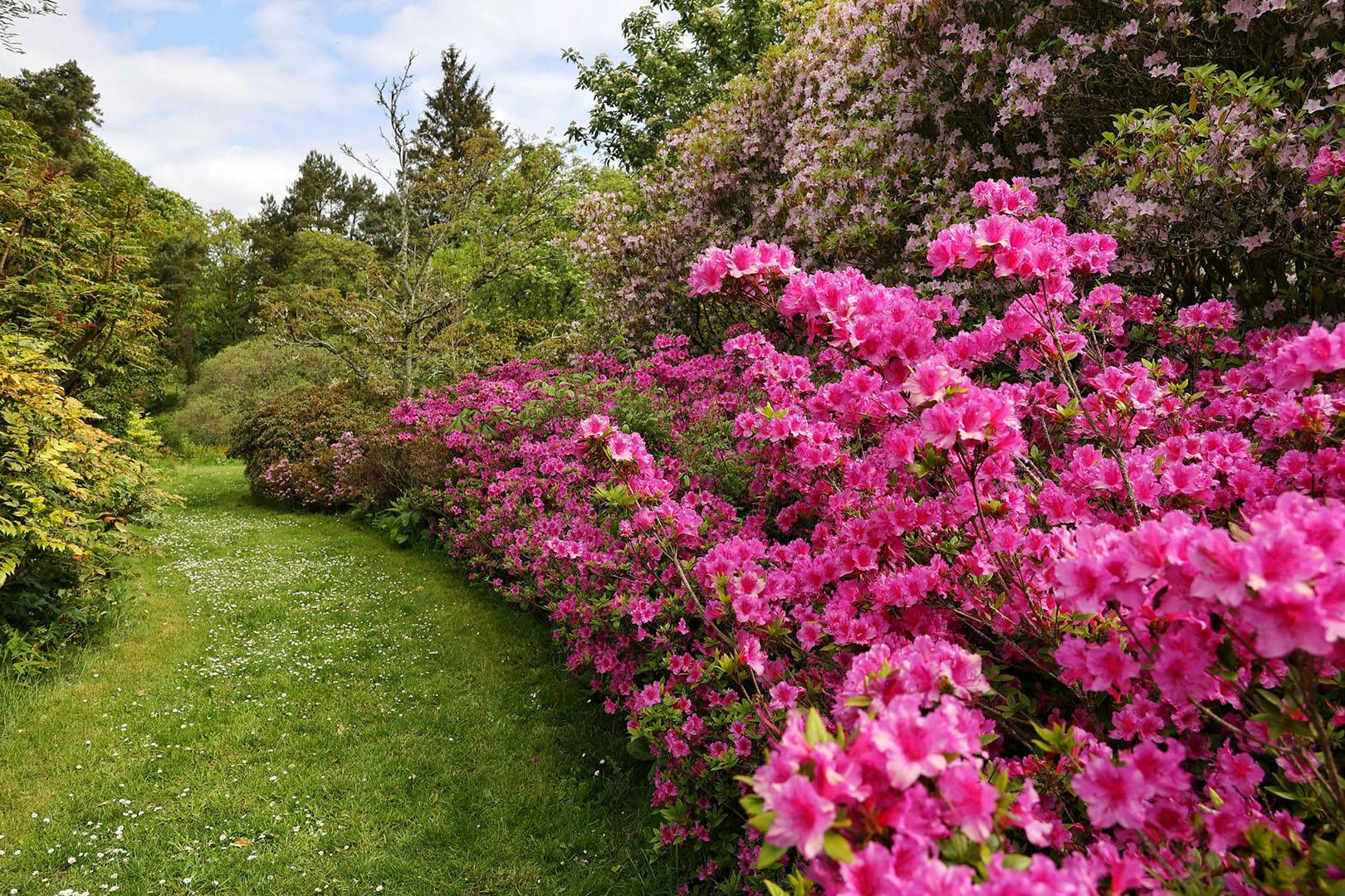 St Andrews Botanic Garden