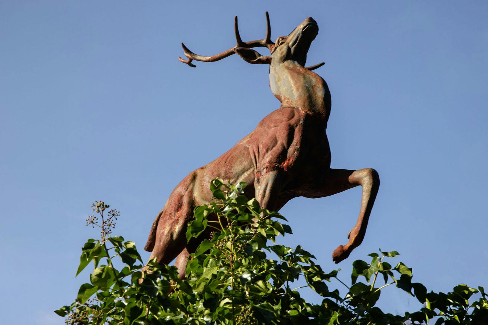 The Prancing Stag