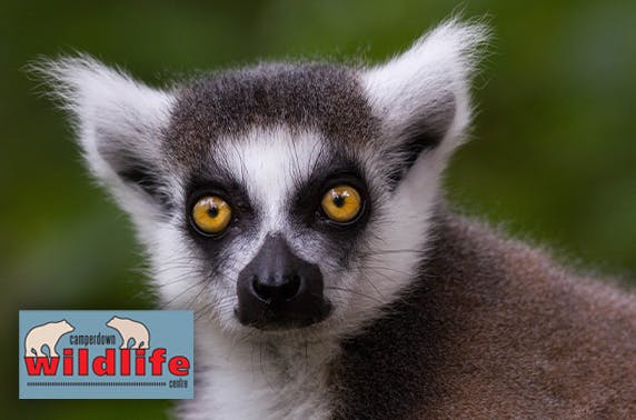 Camperdown Wildlife Centre