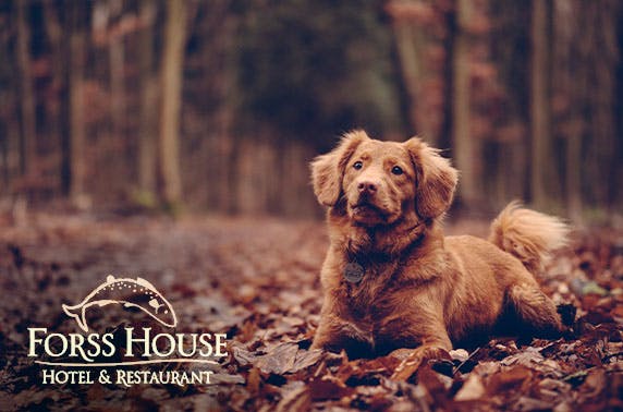 Forss House Hotel