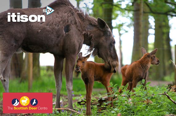 The Scottish Deer Centre 