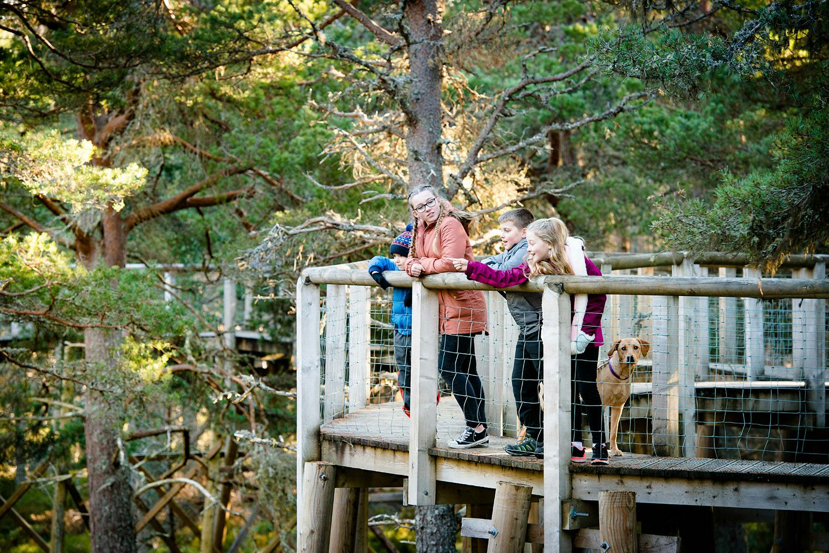 Landmark Forest Adventure Park