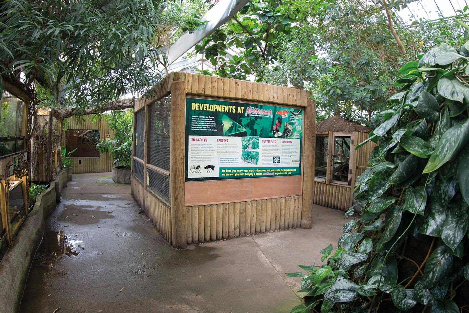Amazonia at M&Ds