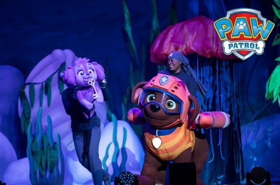 The Ambassador Theatre Group Limited