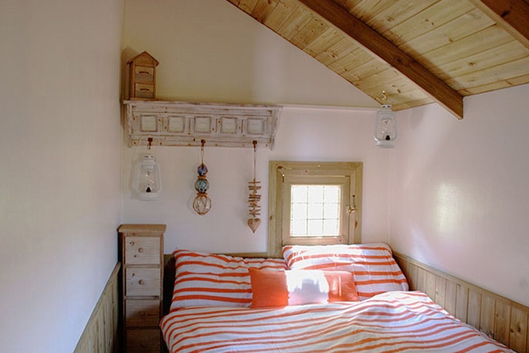 Harvest Moon Holidays