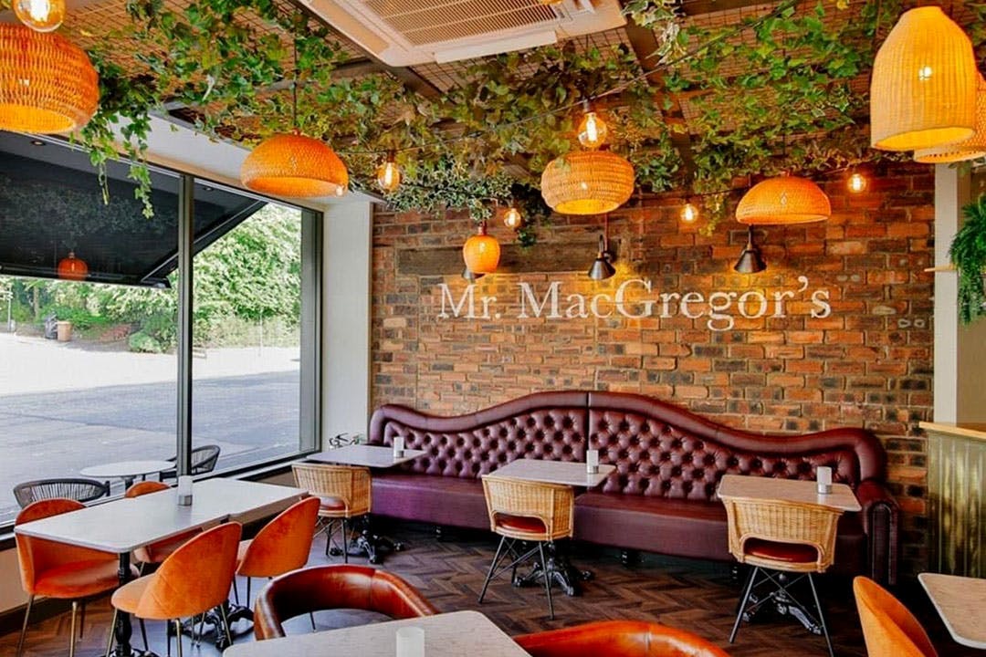 Mr MacGregor's