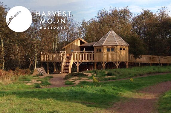 Harvest Moon Holidays