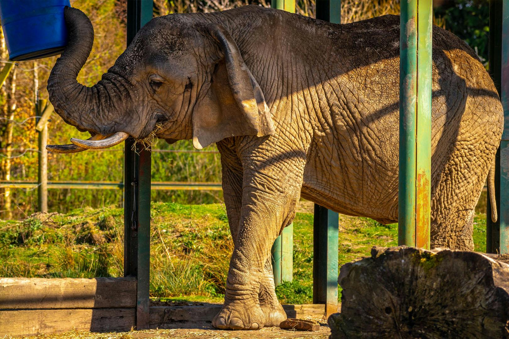 4* Macdonald Inchyra Hotel & Spa