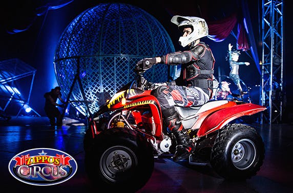 WOC Ltd T/A Zippos Circus