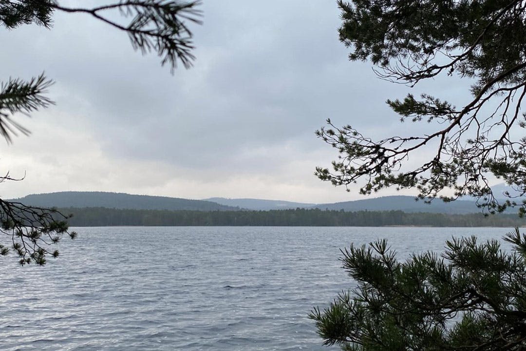 The Boat Country Inn & Restaurant