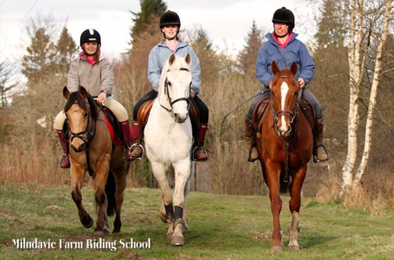 Milndavie Farm Riding Centre