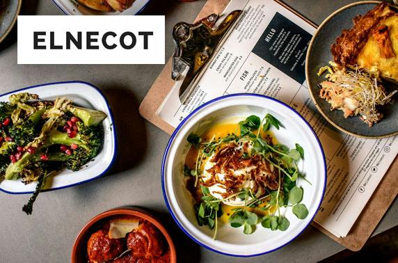 Elnecot – itison