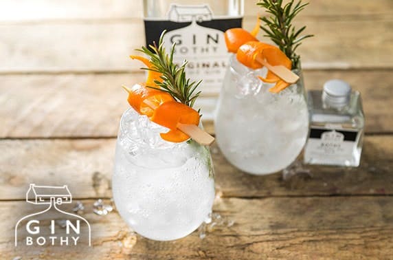 The Gin Bothy Experience