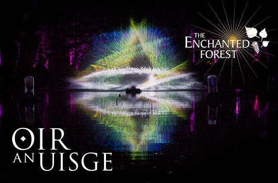 Enchanted Forest
