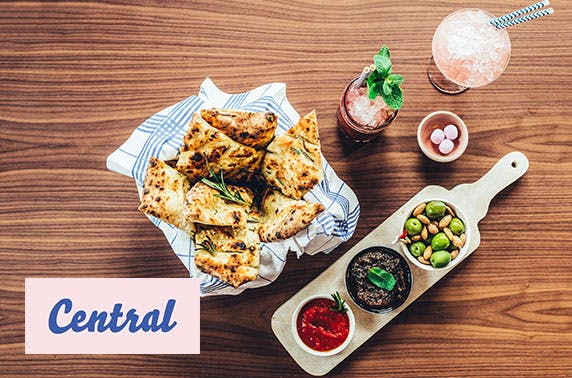Central Oven & Shaker
