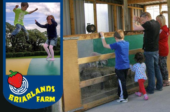 Briarlands Farm
