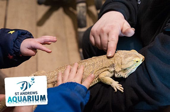 St Andrews Aquarium