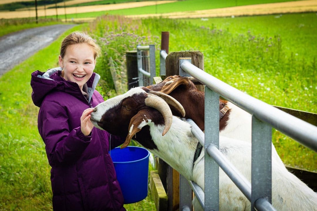 Newton Farm Holidays