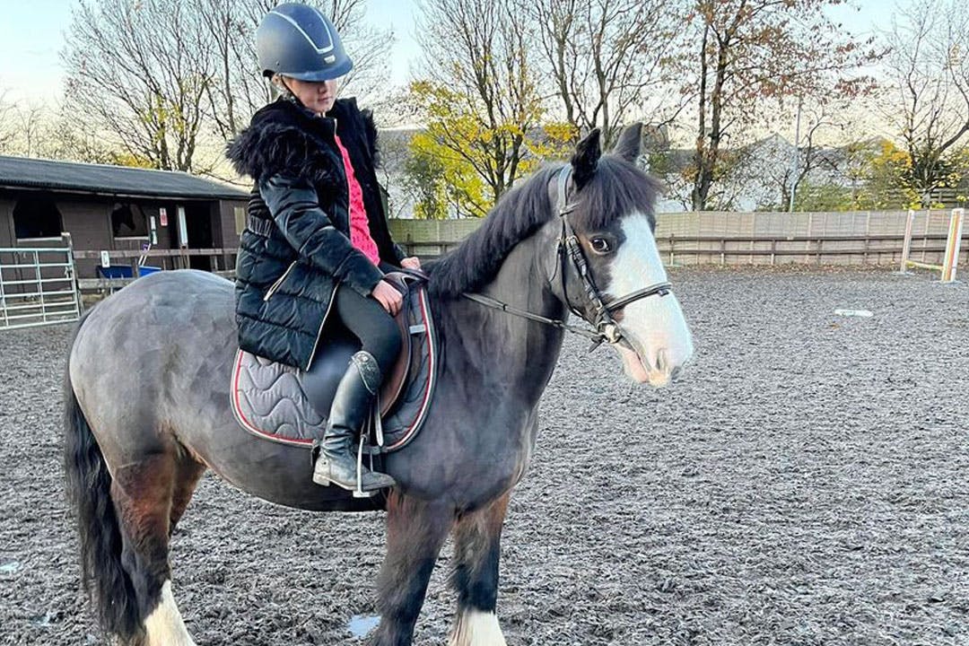 The Daimler Foundation: Morris Equestrian Centre