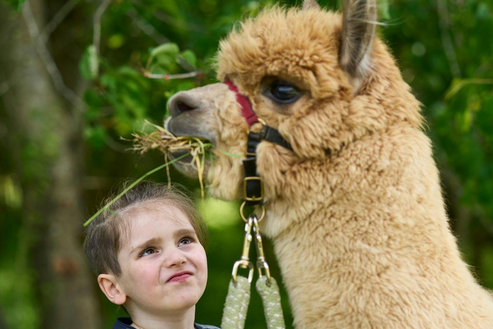 Action Glen at Crieff Hydro