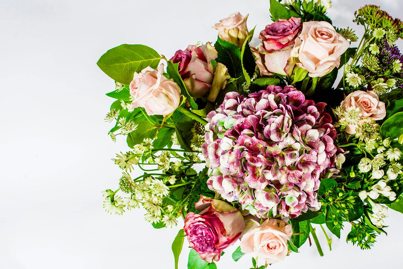 XOXO Floral Boutique