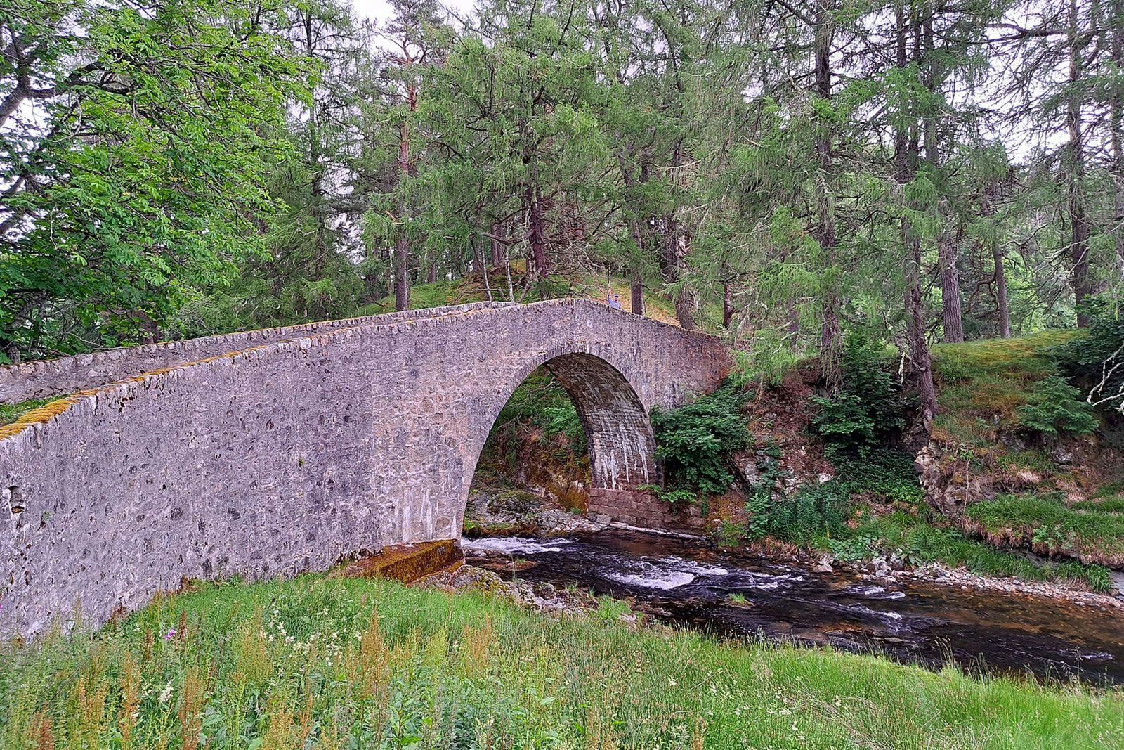 Cairngorms Glamping
