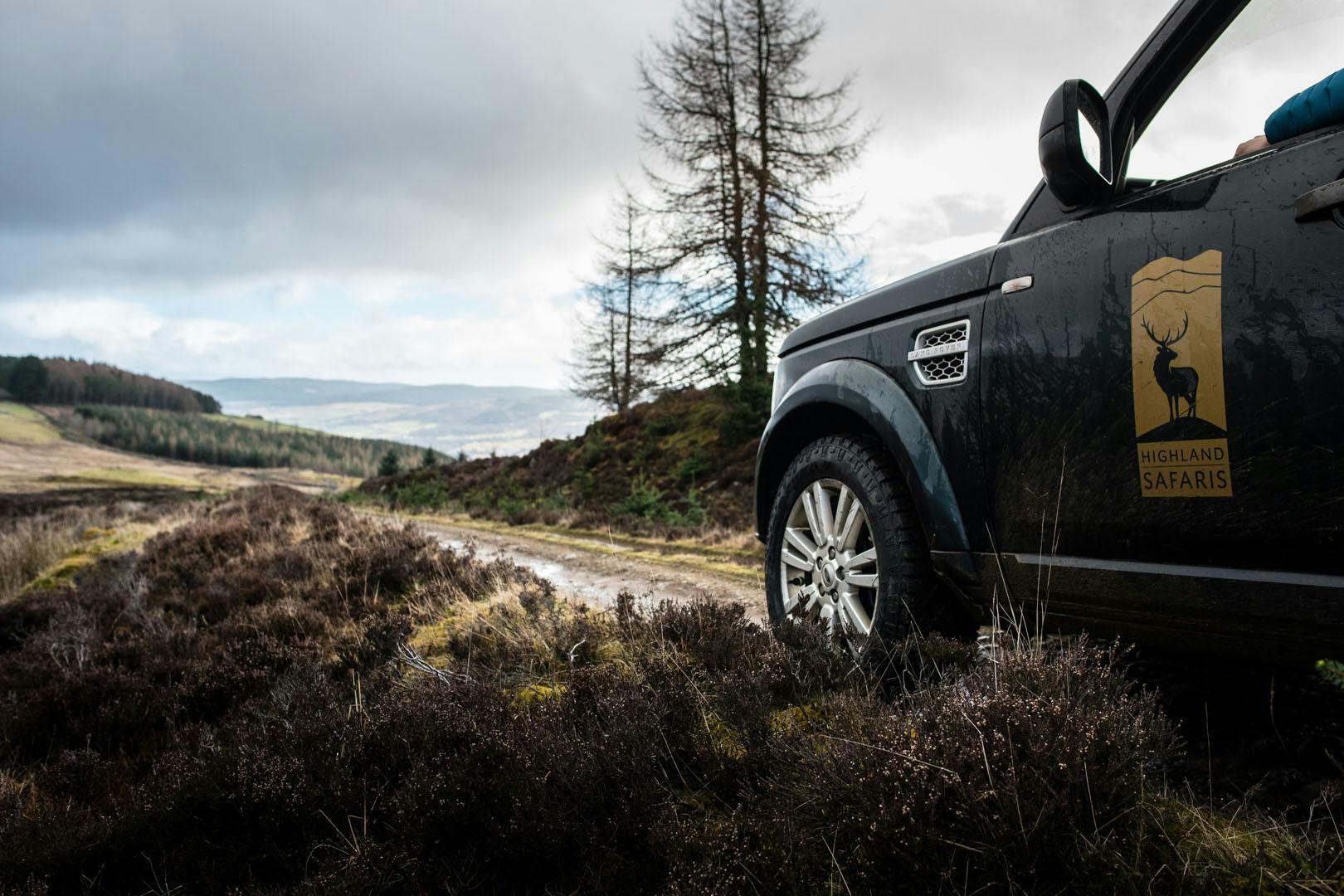 Highland Safaris