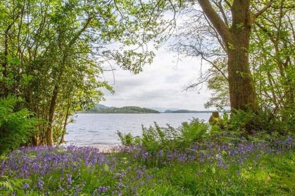 Luss Caravan and Campsite