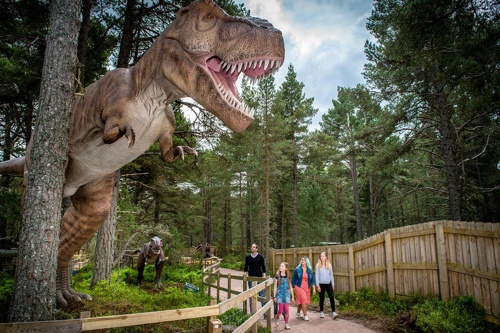 Landmark Forest Adventure Park