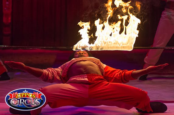 WOC Ltd T/A Zippos Circus