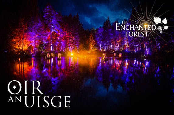Enchanted Forest