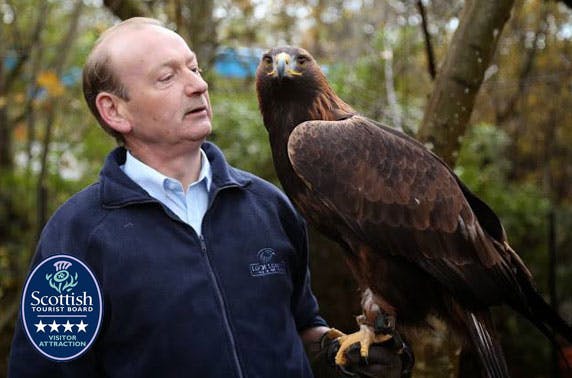 Loch Lomond Bird of Prey Centre