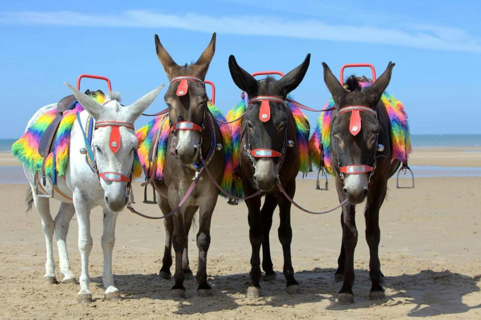 Holiday Inn Blackpool