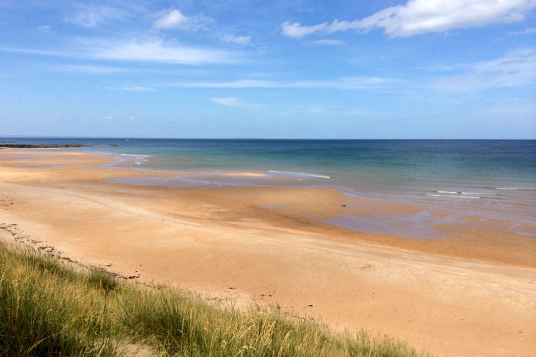 Harvest Moon Holidays