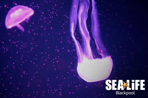 SEA LIFE Blackpool