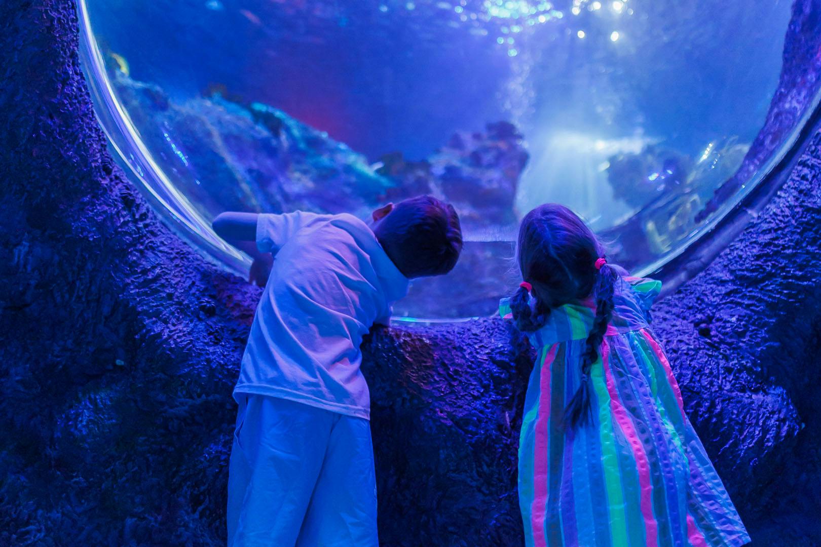 SEA LIFE Loch Lomond