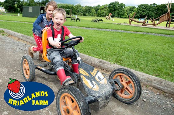 Briarlands Farm