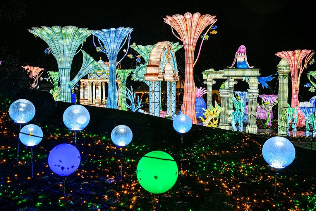 Edinburgh Zoo's Giant Lanterns